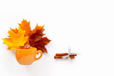 Bir buket sonbahar yaprağı seramik bardakta ve beyaz arka planda tarçın çubuğu kopyalayacak bir yer. Sonbahar arkaplanı. Mevsimsel ısınma içecekleri.