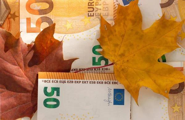50 avroluk kağıt para ve sonbahar akçaağaç yaprakları. Avro parasıyla sonbahar geçmişi. Mevsimsel fiyat konsepti değişir. Sonbahar indirimi