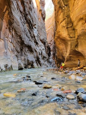 Zion Ulusal Parkı 'nda yürüyüş yollarını daraltır