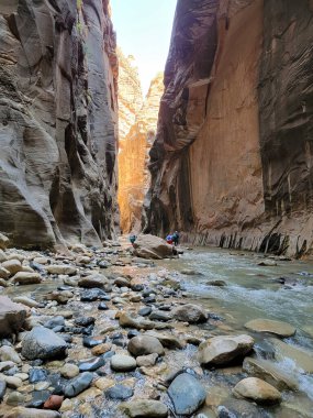 Wall Street 'in Zion Ulusal Parkı manzarasında Dar Yol