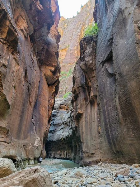 Narrows Trail Parco Nazionale Zion Escursioni Nel Fiume Vergine — Foto Stock