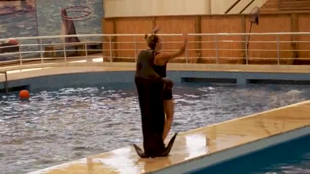 トルコのアランヤ 2021年9月11日 プールでのパフォーマンスショー中にボトルネックイルカに囲まれたダンスの女の子を抱きしめるライオンシール — ストック動画