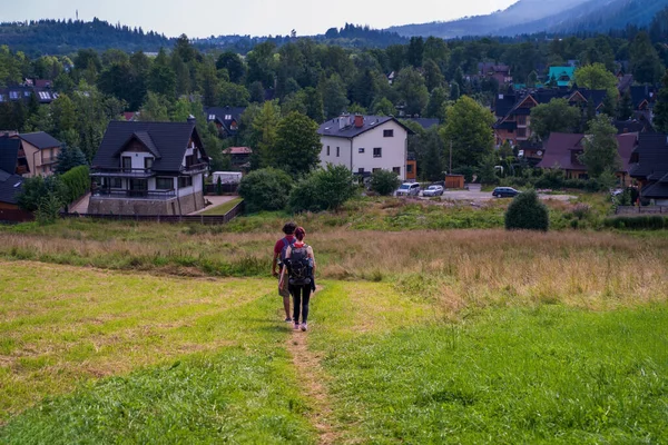 Polonya Nın Zakopane Kentindeki Bir Dağda Çim Çayırında Yürüyen Sırt — Stok fotoğraf