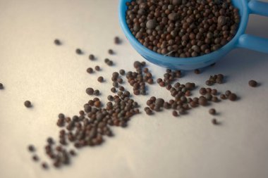 Beyaz arka planda organik siyah hardal tohumu Brassica zencisinin Macro yakın çekimi. Hint Aromatik Baharatı Yığını. Üst görünüm