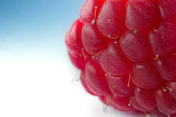 Macro Shot Raspberry White Background Selective Focus Berry Fruit Extreme — Stock Photo, Image