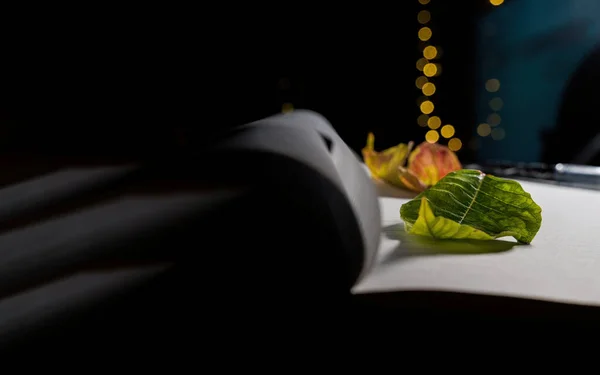 Conceptual video of an open notebook with pen, dried leaves and burning candle against bokeh lights. Desktop table of a writer, poet, author or any creative field that requires writing.