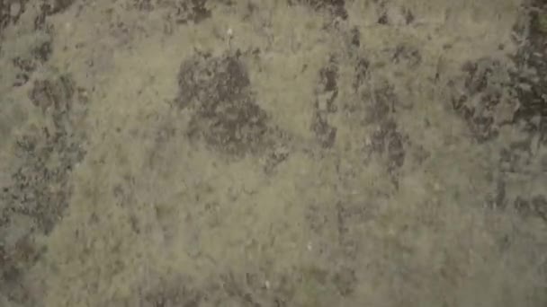 Ноги Туристов Кажется Ходят Босиком Естественно Сформированной Поверхности Памуккале Богатой — стоковое видео
