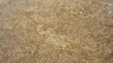 Naturally formed patterns on a surface ground of pamukkale hot spring, Turkey. the mineral-rich thermal waters flowing down white travertine terraces on a nearby hillside. close to Hierapolis
