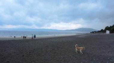 Panning shot showing Landscape view of salda lake with some people from far away distance during overcast dramatic cluds, located in Golu in Burdur of Turkey