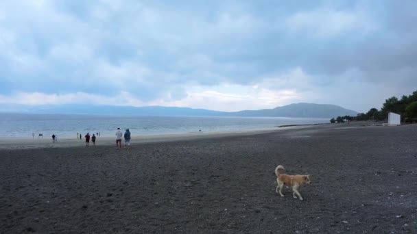 Panning Shot Showing Landscape View Salda Lake Some People Far — Αρχείο Βίντεο