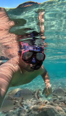 Sargo balıklarıyla çevrili bir denizde şnorkelle yüzen bir adam serbest dalış sporu eğlence konsepti.