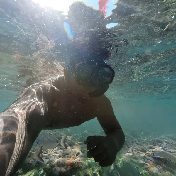 A man with snorkeling equipment underwater surrounded with sargo or seabream fish