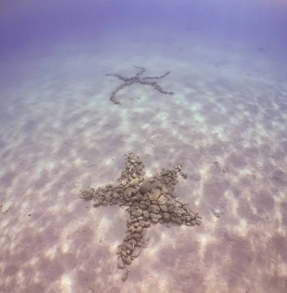Underwater Shot Sea Stars Shape Made Pebbles Sea — Foto Stock