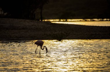 Sabah göl manzarası çok güzel.