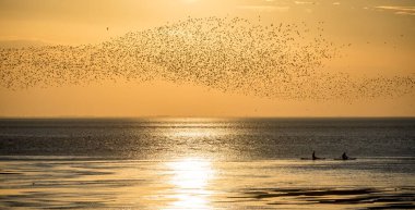 Denizin üzerinde güzel bir gün batımı