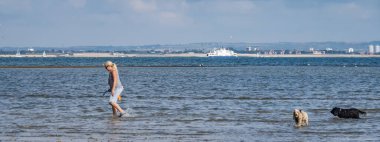 Arka plan için güzel deniz kıyısı manzarası.