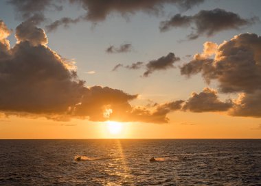 Karayip adası Curacao 'nun manzarası