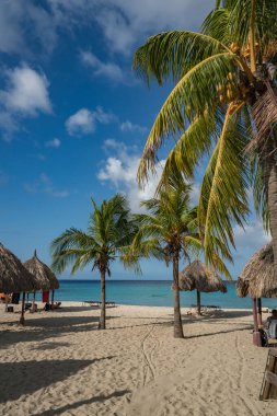 Noel Işıkları Karayip adası Curacao 'yu geziyor.