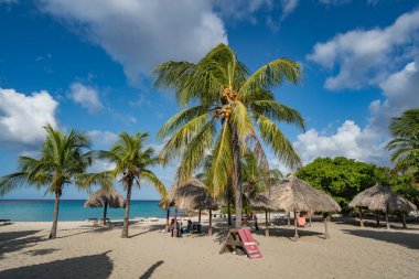 Noel Işıkları Karayip adası Curacao 'yu geziyor.