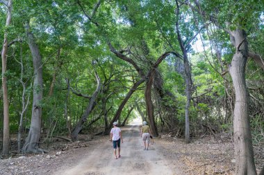 Noel Işıkları Karayip adası Curacao 'yu geziyor.