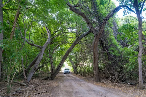 Julbelysning Utsikt Över Den Karibiska Curacao — Stockfoto