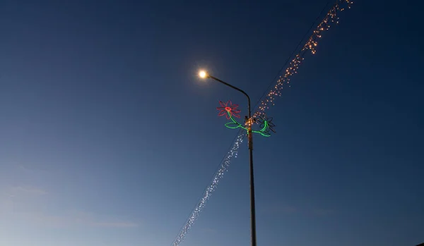 Рождественские Огни Вокруг Карибского Острова Кюрасао — стоковое фото