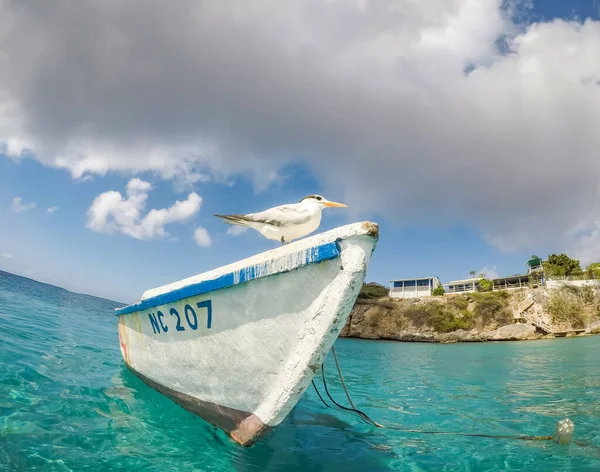 Widok Karaibską Wyspę Curacao — Zdjęcie stockowe