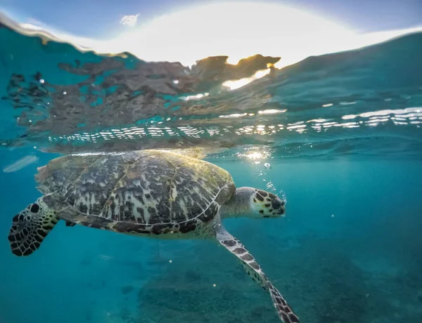 Vedute Intorno All Isola Caraibica Curacao — Foto Stock