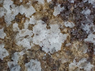 Kışın donmuş buz kristalleri