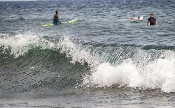 Surfista Azione Sull Onda Dell Oceano — Foto Stock