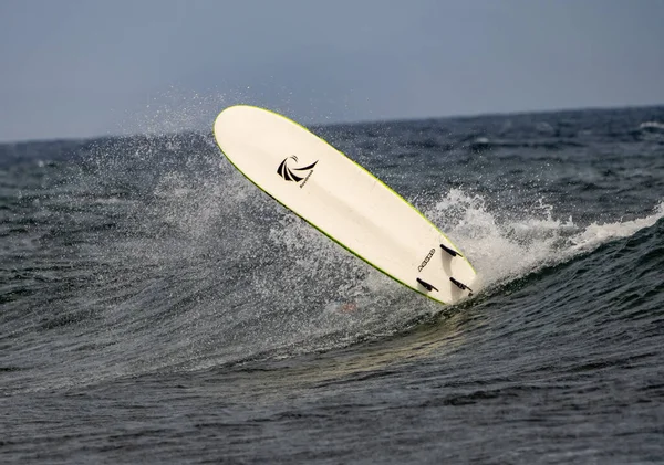 Surfista Acción Ola Del Océano — Foto de Stock