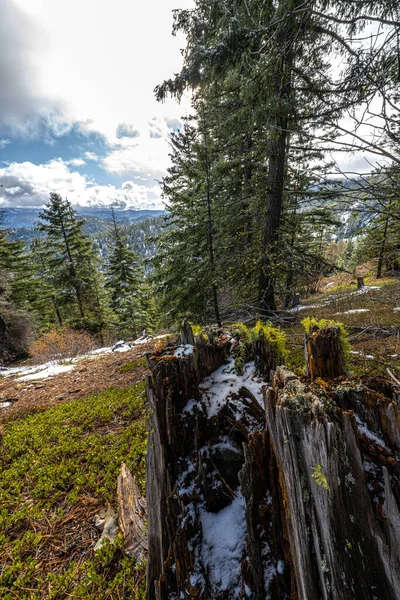 Wenatchee National Forest Nel Mese Novembre — Foto Stock