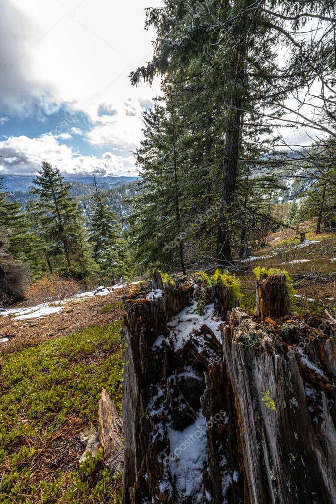 Wenatchee National Forest in November, WA