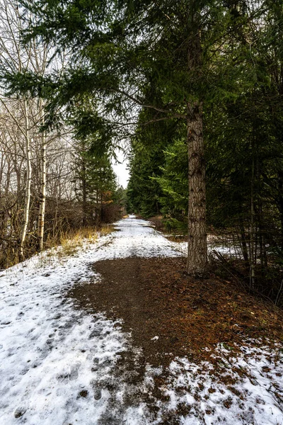 Old Coal Mining Trail Perto Roslyn — Fotografia de Stock