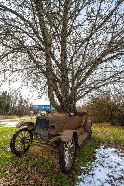 Carro Velho Com Árvores Cultivadas Através Corpo — Fotografia de Stock