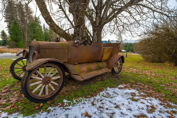 Old Car Trees Grown Body — Fotografia de Stock