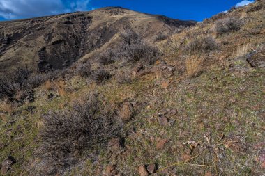 Cleman Dağı, Su İşleri Kanyonu Naches, WA 'ya yakın.