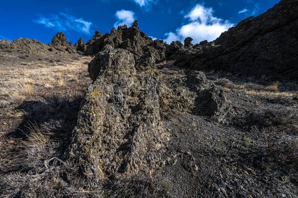 Mount Cleman Waterworks Canyon Trail Close Naches — стокове фото