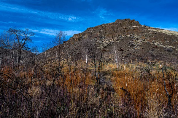 Entlang Des Umtanum Creek Trail — Stockfoto