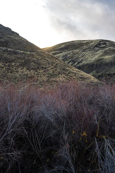 Κατά Μήκος Του Umtanum Creek Trail — Φωτογραφία Αρχείου