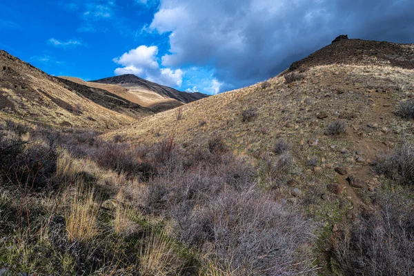 Mount Cleman Waterworks Canyon Trail Close Naches — 图库照片