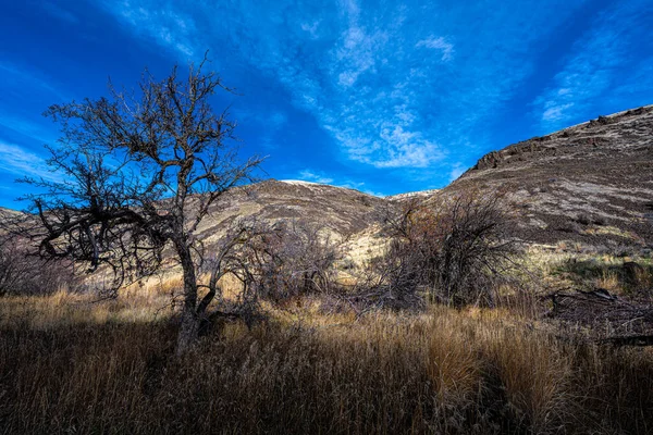 Lungo Umtanum Creek Trail — Foto Stock