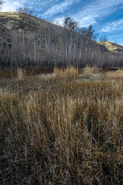 Umtanum Creek Trail — Stock Photo, Image