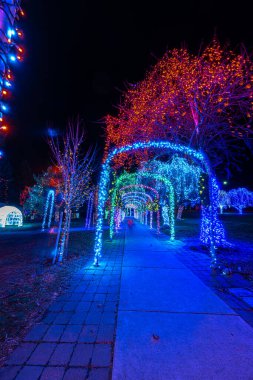 Colorful Christmas Illumination in December