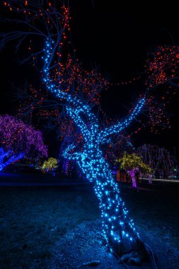 Colorful Christmas Illumination in December