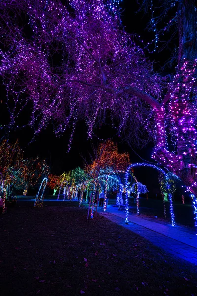 Colorful Christmas Illumination December — Fotografia de Stock