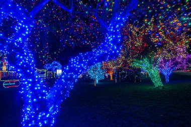 Colorful Christmas Illumination in December