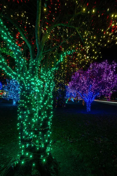 Colorful Christmas Illumination December — Fotografia de Stock