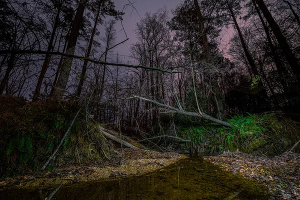 Bartons Creek Durham Carolina Norte — Fotografia de Stock
