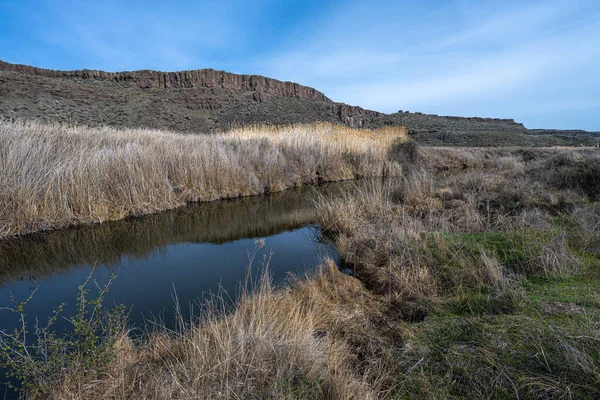 Crab Creek Trail Columbia National Wildlife Refuge — Stock Photo, Image